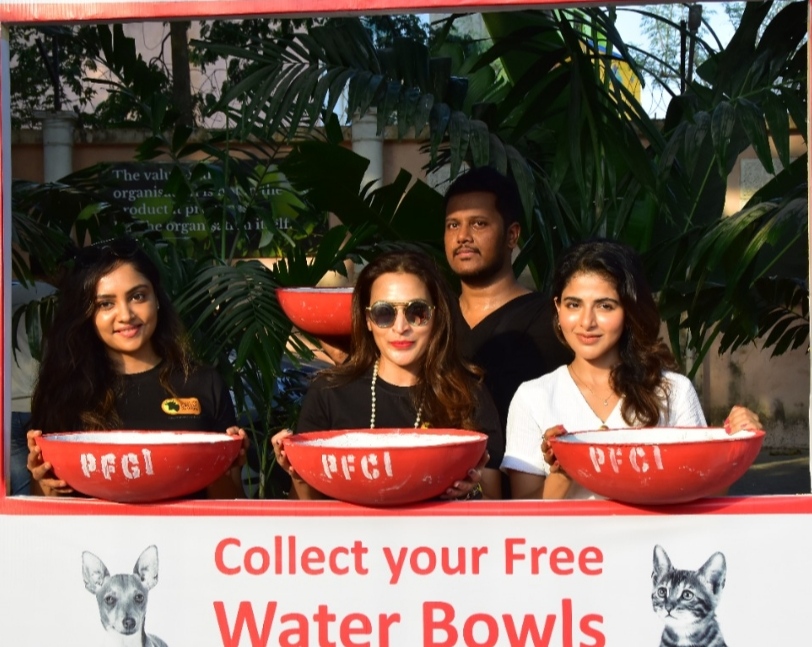 Join hands and Quench the thirst of needy Animals and Birds