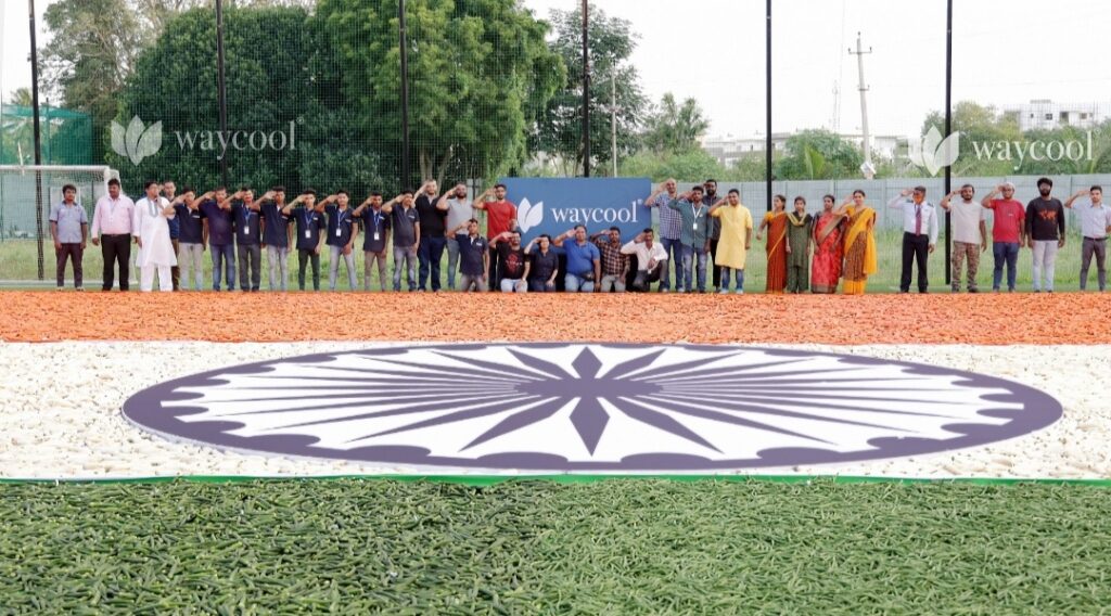 WayCool creates 7500+ sqft tricolor with fresh vegetables 