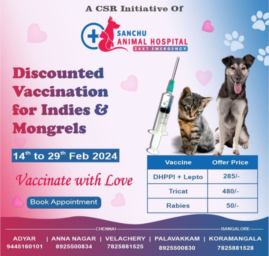 SANCHU Animal Hospital Rolls Out Exclusive Vaccination Drive for Indies and Mongrels in the City