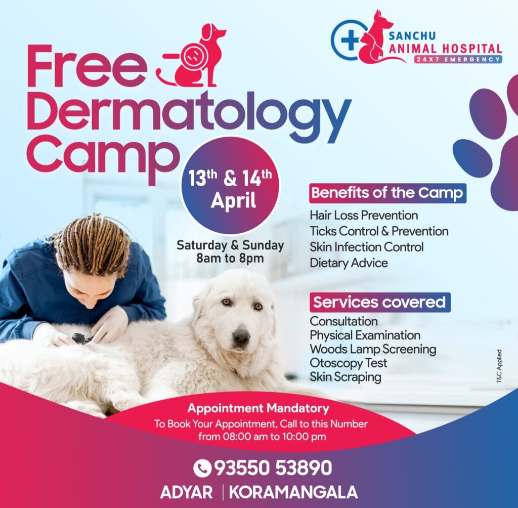 Sanchu Animal Hospital To Host Free Dermatology Camp For Pets